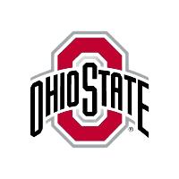 Amazon.com: Ohio State Buckeyes College Team Gridiron Rug