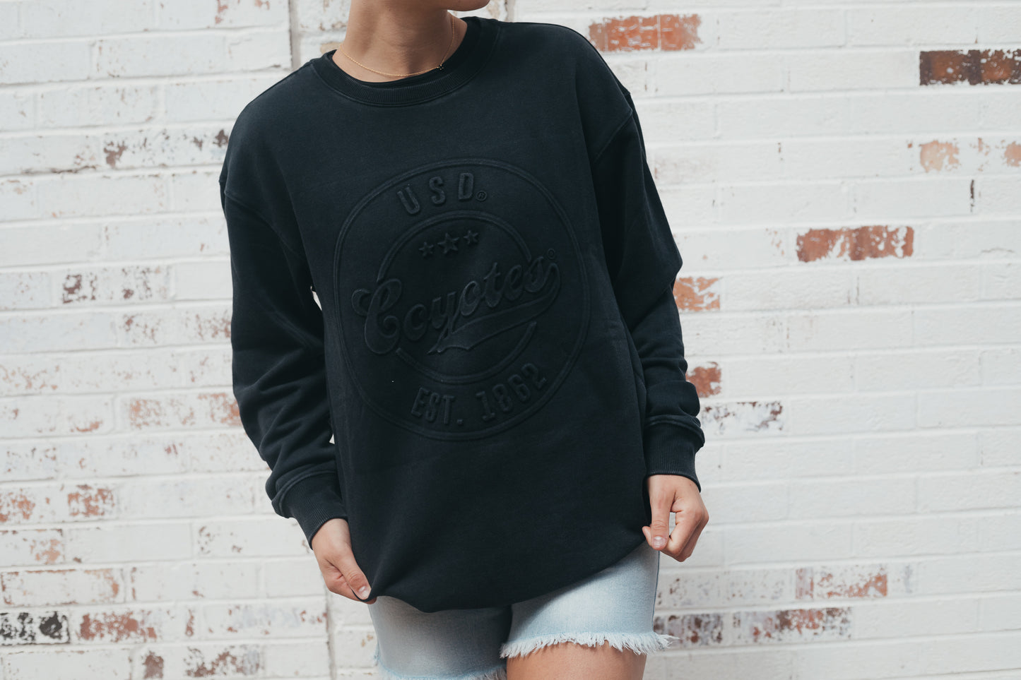 USD Carson Circle Fleece Crew