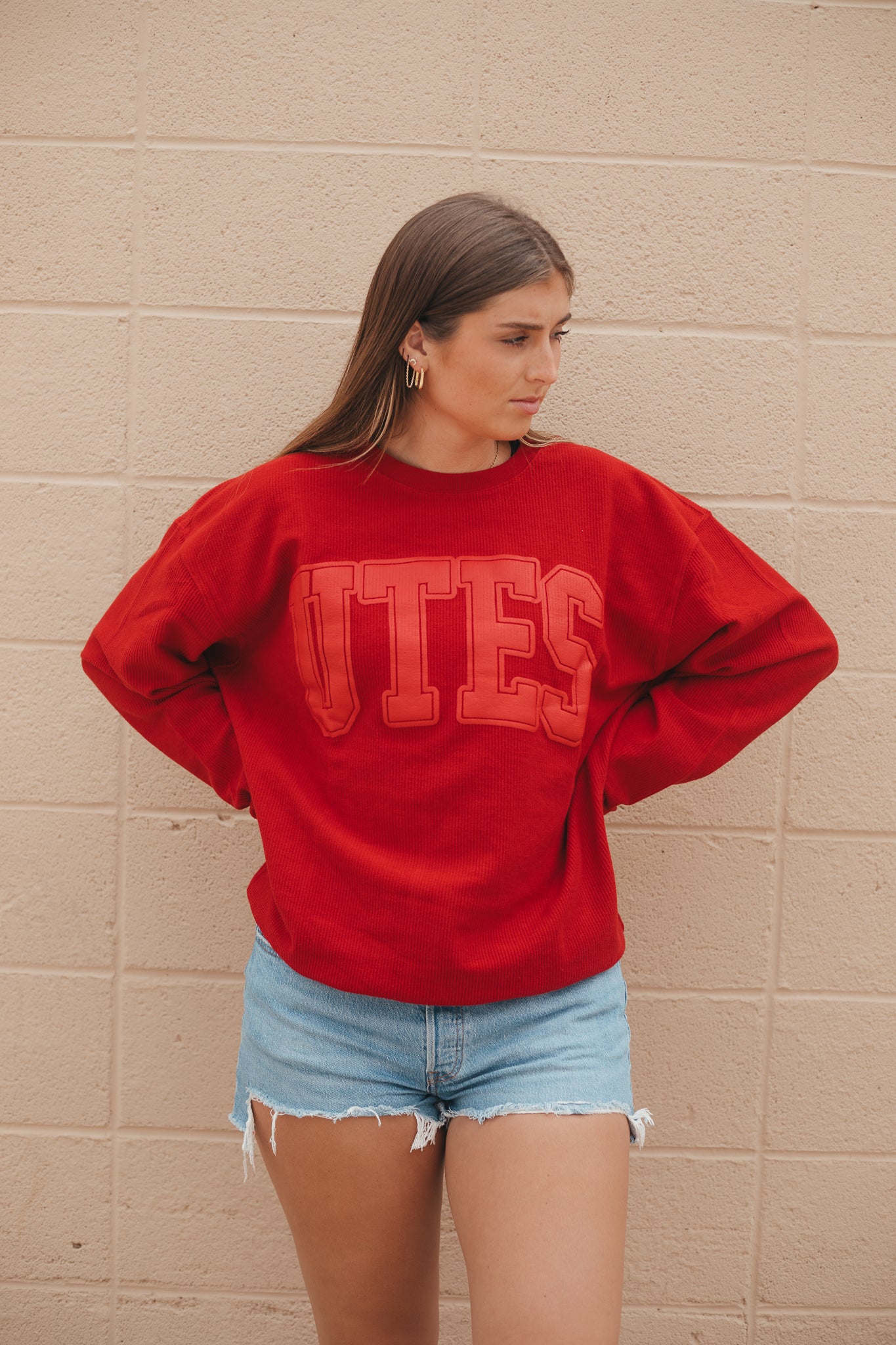 Utah Tonal Puff Print Corded Crew