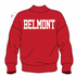 Belmont Varsity Turtleneck Turtleneck Sweater