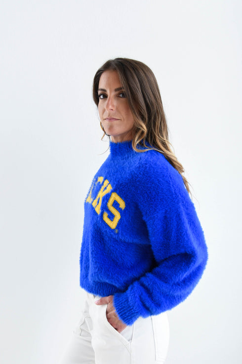 SD State Eyelash Chenille Eyelash Sweater