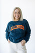 Illinois Eyelash Chenille Eyelash Sweater