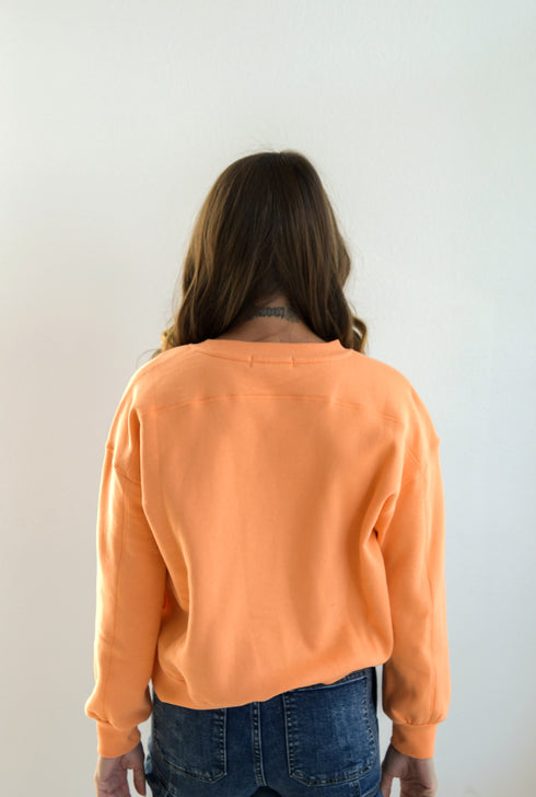 Clemson College Lines Fleece Women's Crew