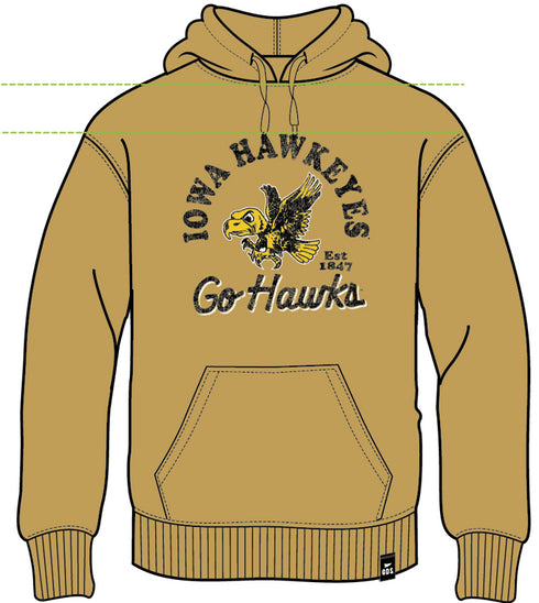 Iowa Archival Arch Comfort Hoodie