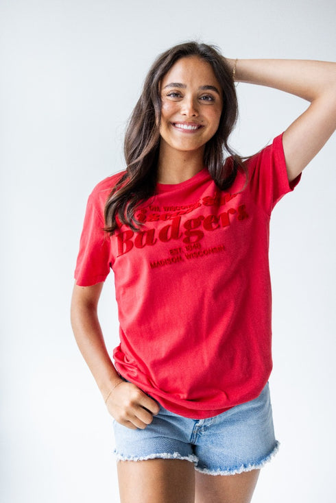 Wisconsin Hansen Brush Comfort Tee