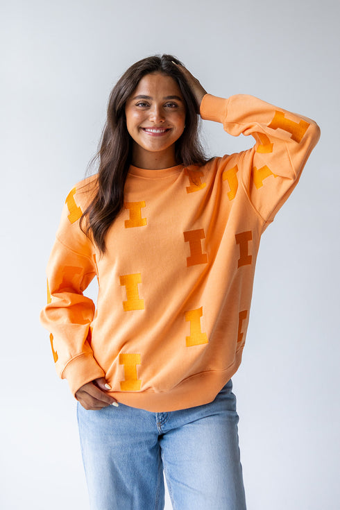 Illinois Ritter Repeat Lantern Sleeve Crew