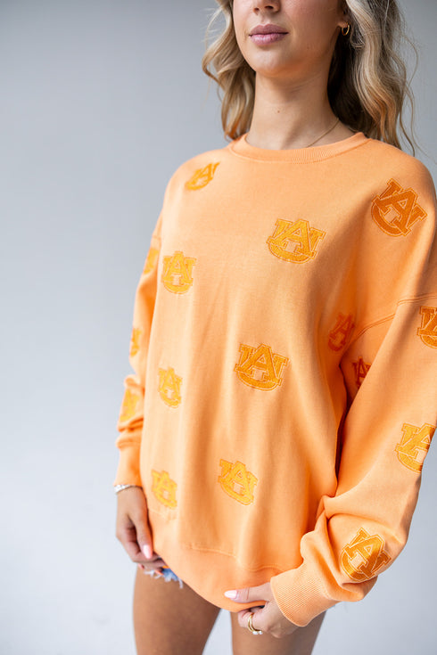 Auburn Ritter Repeat Lantern Sleeve Crew