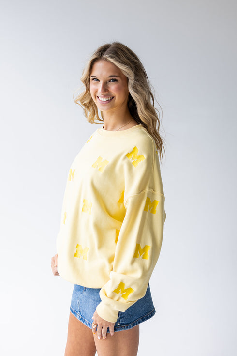 Michigan Ritter Repeat Lantern Sleeve Crew