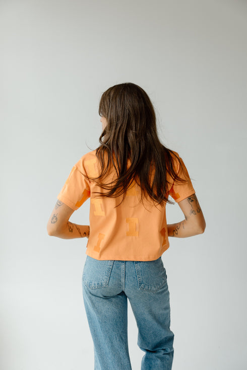 Illinois Ritter Repeat Heavyweight Crop Tee