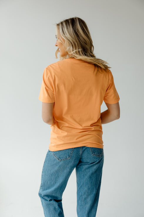 Illinois Hansen Brush Comfort Tee