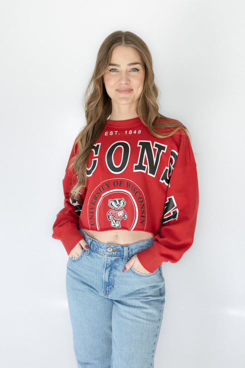Wisconsin Phipps Split Cropped Longsleeve