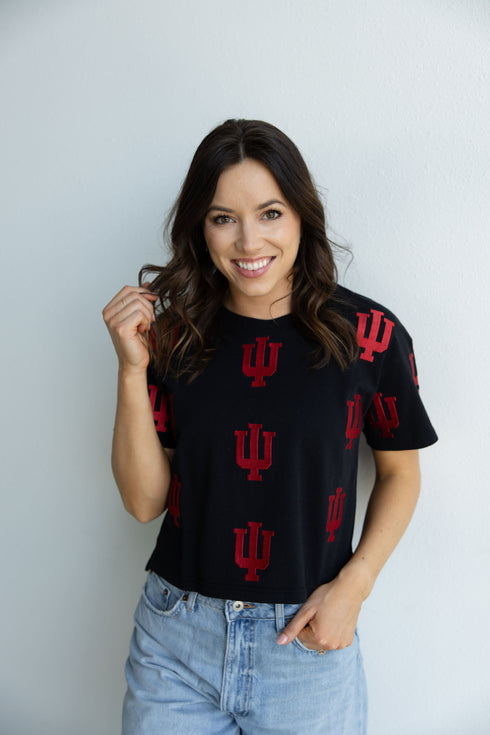 Indiana Ritter Multi Color Heavyweight Crop Tee
