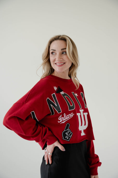 Indiana Patched Up Cropped Longsleeve