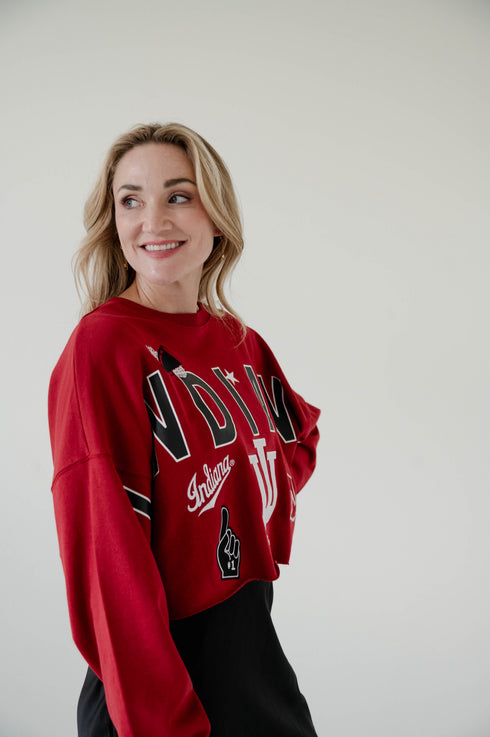Indiana Patched Up Cropped Longsleeve
