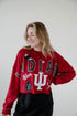 Indiana Patched Up Cropped Longsleeve