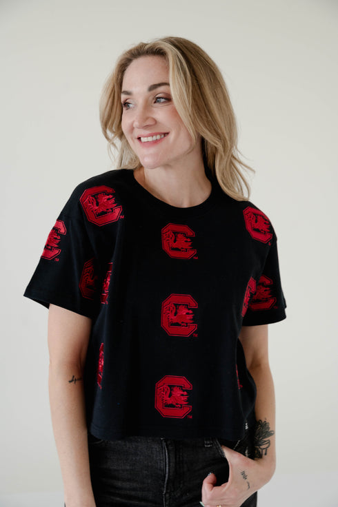 South Carolina Ritter Multi Color Heavyweight Crop Tee