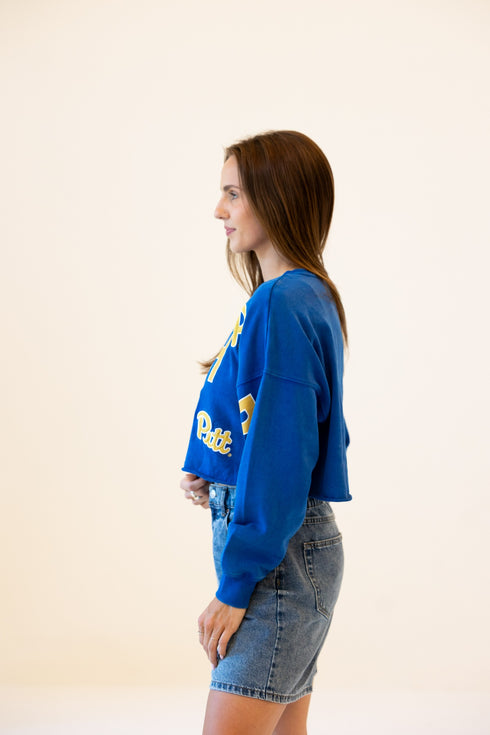 Pitt Patched Up Cropped Longsleeve