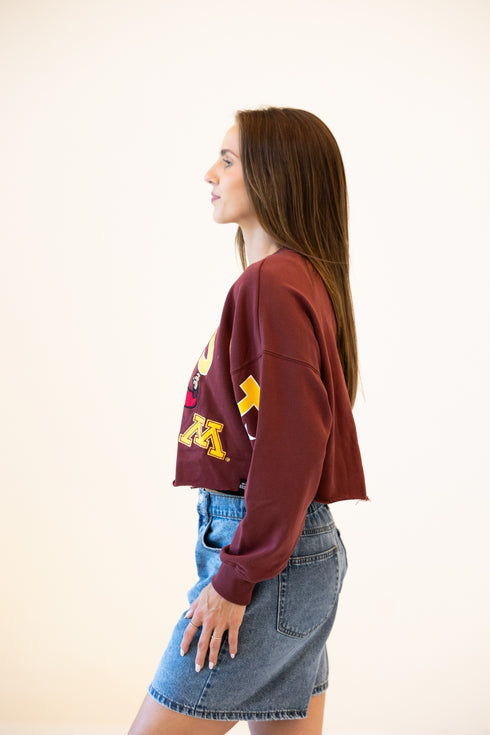 Minnesota Patched Up Cropped Longsleeve