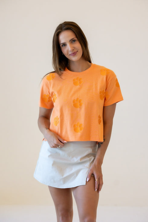 Clemson Ritter Repeat Heavyweight Crop Tee