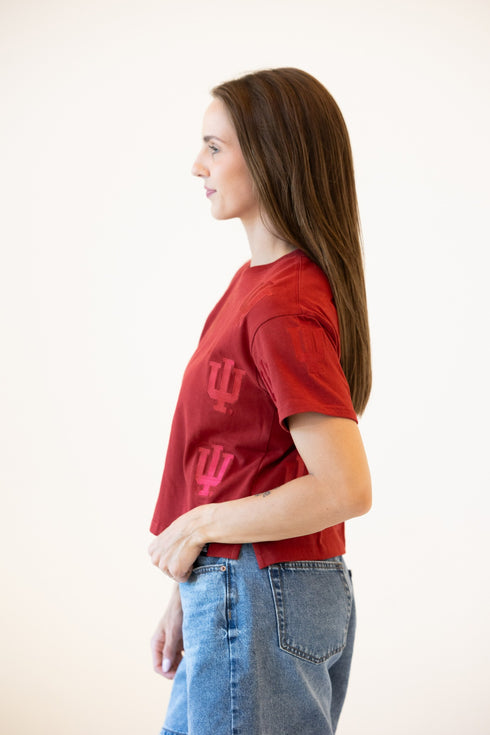 Indiana Ritter Repeat Heavyweight Crop Tee