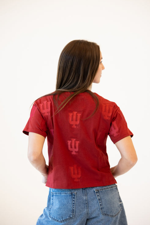Indiana Ritter Repeat Heavyweight Crop Tee