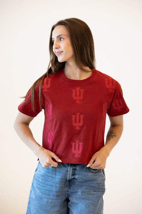 Indiana Ritter Repeat Heavyweight Crop Tee