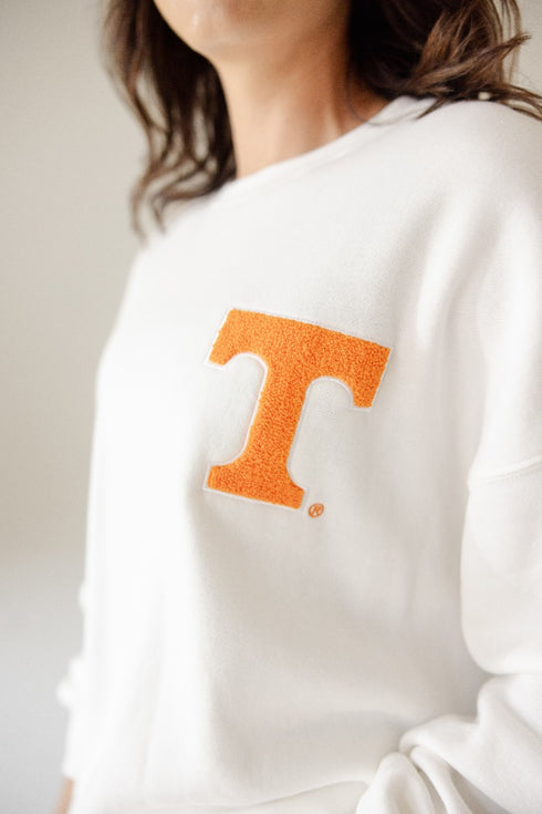 Tennessee Suave Suede Lantern Sleeve Crew