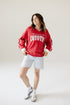 USD Sunday Slate Striped Collar Fleece Crew