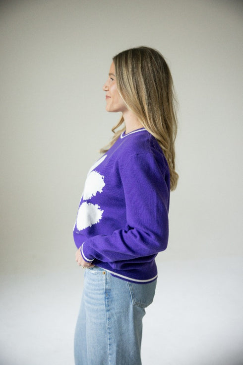 Clemson Wicks Woven Striped Detail Sweater