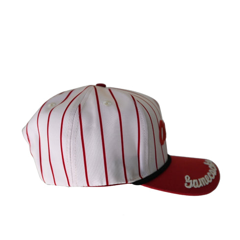 South Carolina Pinstripe Hat 5 Panel Canvas Baseball Hat