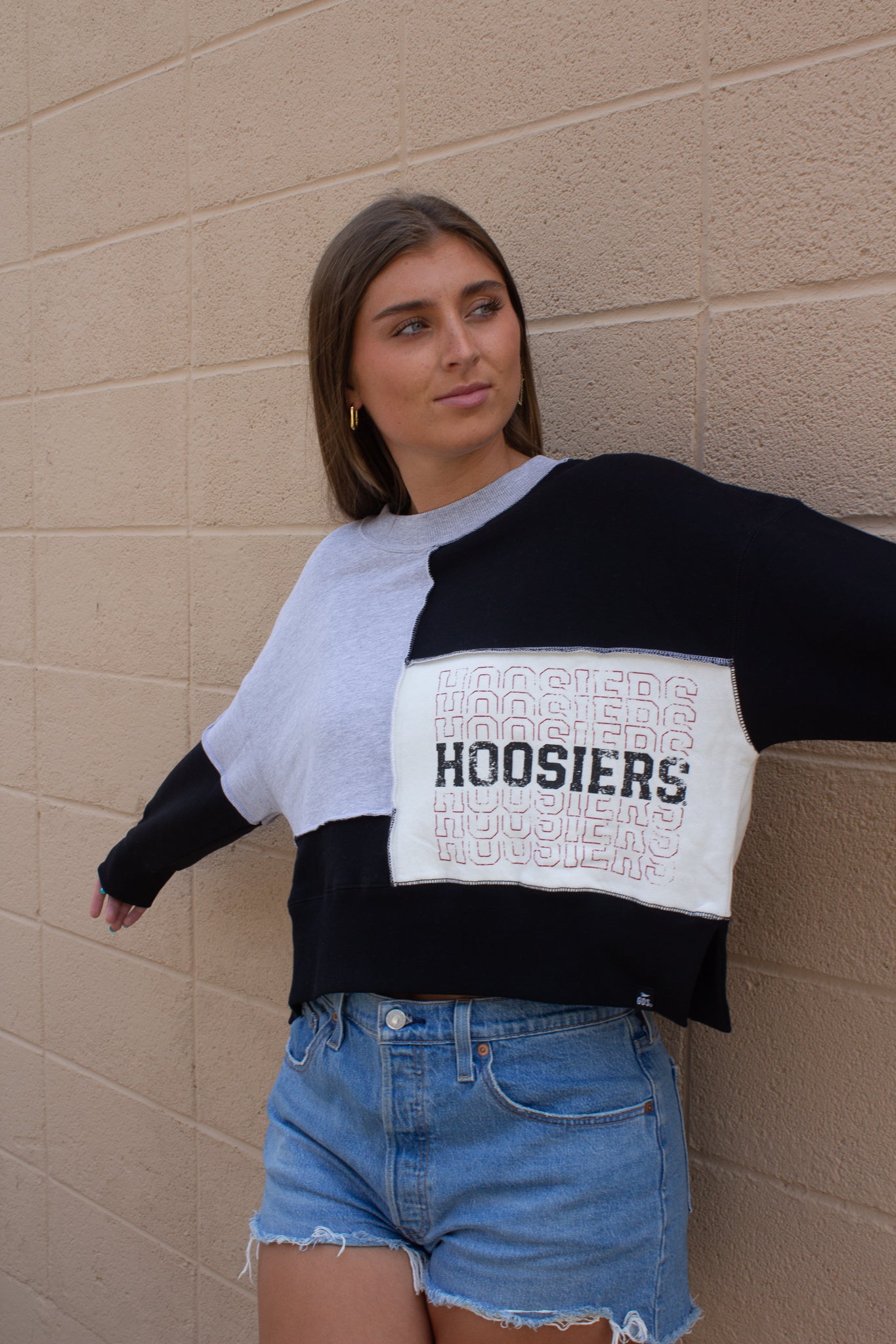 Indiana Rodger Repeat Patch Work Crew