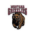 U_of_Montana logo