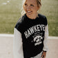 Iowa Taylor Triangle Color Block Fleece Crewneck